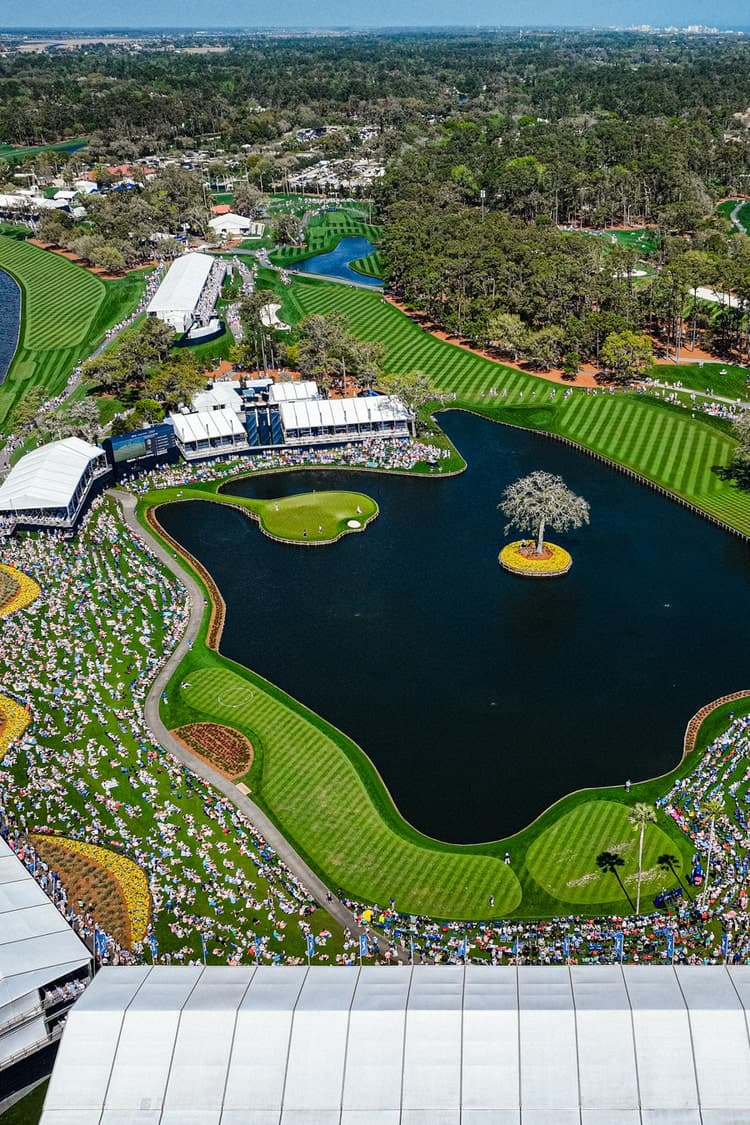 TPC Sawgrass security system
